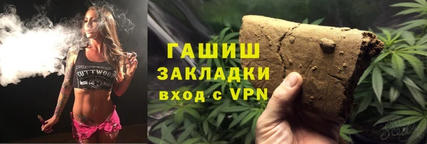 дмт Дмитров