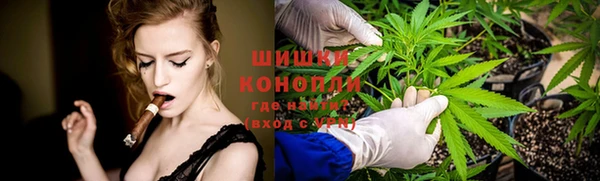 амф Дмитровск
