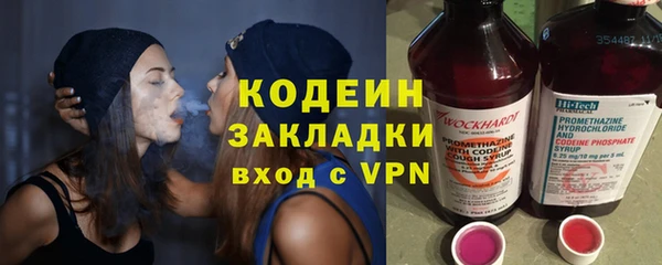 стаф Ельня