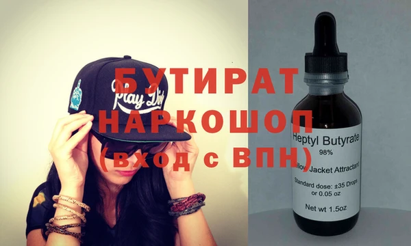 стаф Ельня