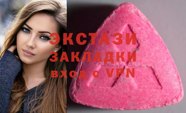 твердый Дмитриев