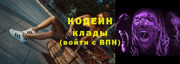 дмт Дмитров