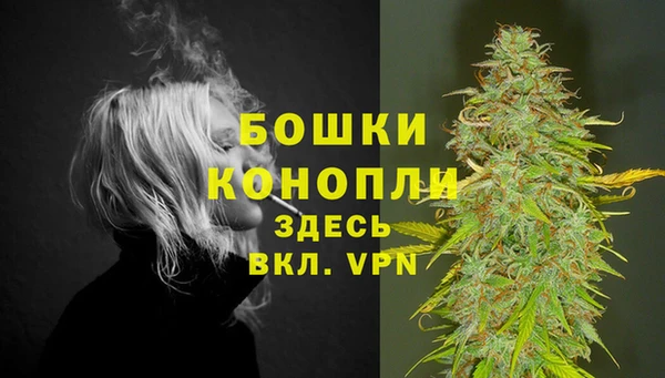 дмт Дмитров