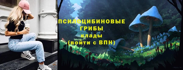 амф Дмитровск