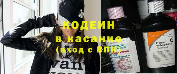 дмт Дмитров