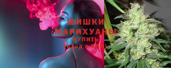 дмт Дмитров