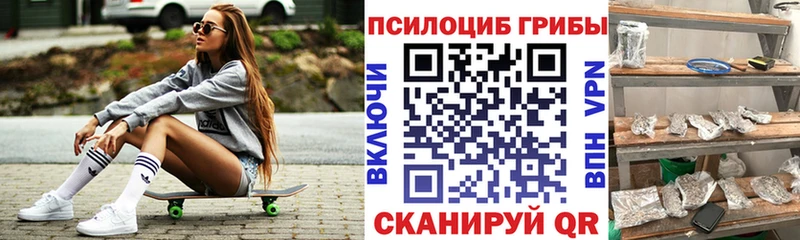 Псилоцибиновые грибы Psilocybe  Купить  Новоржев 